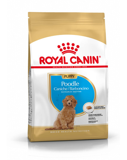 ROYAL CANIN Poodle Puppy 3 kg granule pre šteniatka pudlov