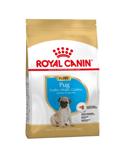 ROYAL CANIN Pug Puppy 500g  krmivo pre šteniata mopsov