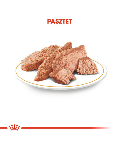 ROYAL CANIN Poodle Adult in Sobe maškrta v omáčke pre dospelého psa rasy pudel 85 g
