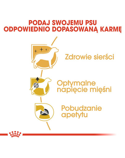 ROYAL CANIN Poodle Adult in Sobe maškrta v omáčke pre dospelého psa rasy pudel 85 g