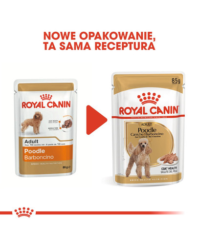 ROYAL CANIN Poodle Adult in Sobe maškrta v omáčke pre dospelého psa rasy pudel 85 g