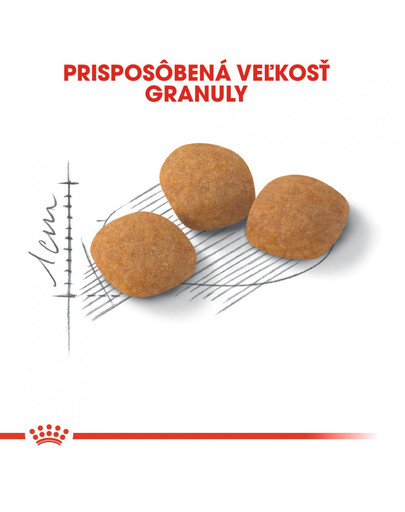 ROYAL CANIN Protein Exigent 4 kg granule pre maškrtné mačky