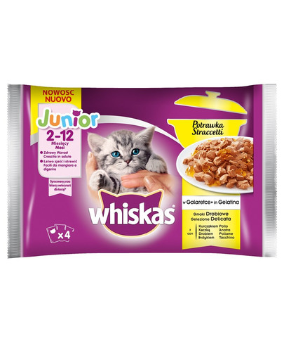 Whiskas Junior Casserole výber s hydinovou v želé 13 x 4x85g