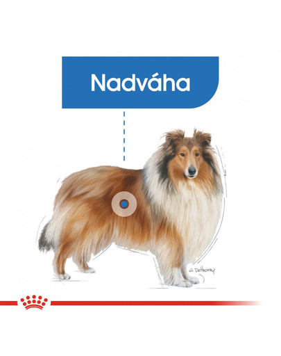 ROYAL CANIN Maxi Light Weight Care 3 kg diétne granule pre veľké psy