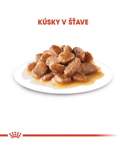 ROYAL CANIN Mini ageing  12+ 85g x12 kapsička pre staré malé psy