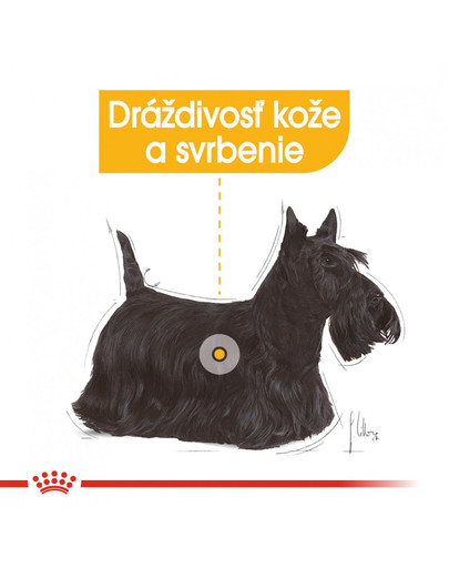 ROYAL CANIN Mini dermacomfort 3 kg granule pre malých psov s problémami s kožou