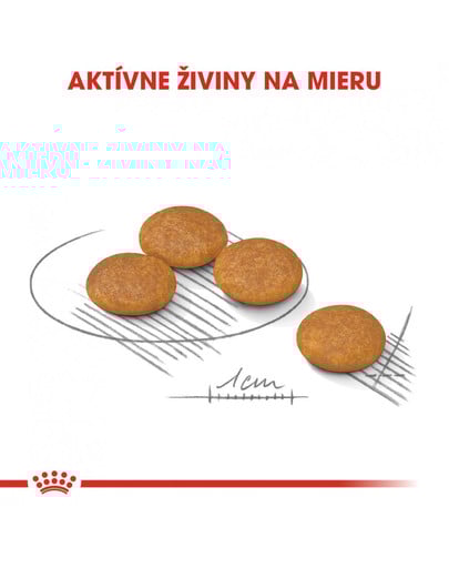 ROYAL CANIN Mini dermacomfort 1 kg granule pre malých psov s problémami s kožou