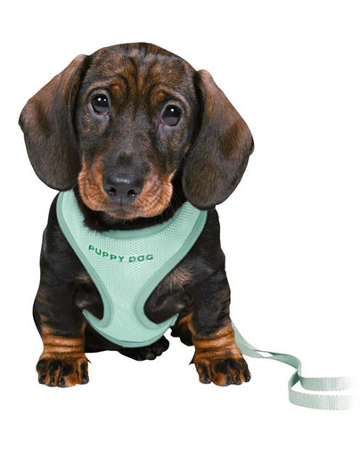 TRIXIE Junior Postroj s vodítkom pre šteňa 26–34 cm/10 mm, 2.00 m, mätová farba