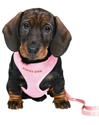 TRIXIE Postroj s vodítkom pre šteňatá 26-34 cm / 10 mm ružový