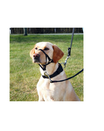 TRIXIE Top Trainer postroj pre psov S 22 cm / 35-42 cm