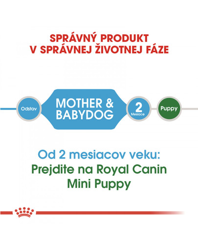 ROYAL CANIN Mini Starter Mother & Babydog 1kg granule pre brezivé alebo dojčiace suky a šteňatá