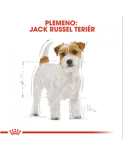 ROYAL CANIN Jack russell terrier adult 3 kg