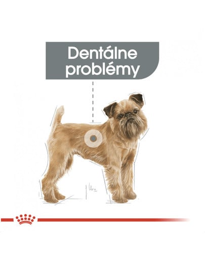 ROYAL CANIN Mini dental care 3 kg granuly pre psy znižujúce tvorbu zubného kameňa