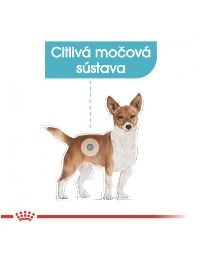 ROYAL CANIN Mini urinary care 8 kg granuly pre psy s obličkovými problémami.