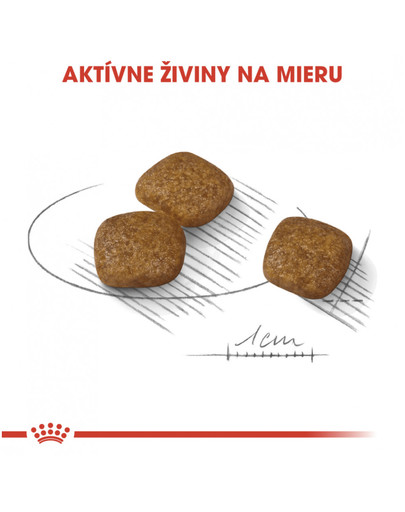 ROYAL CANIN Mini urinary care 8 kg granuly pre psy s obličkovými problémami.
