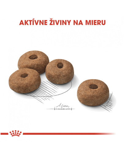 ROYAL CANIN Maxi Sterilised 3 kg granule pre kastrované veľké psy