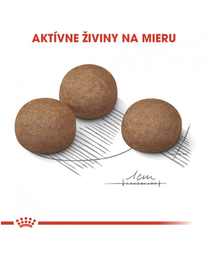 ROYAL CANIN Maxi Digestive Care 3 kg granule pre dospelých psov veľkých plemien s citlivým zažívacím traktom