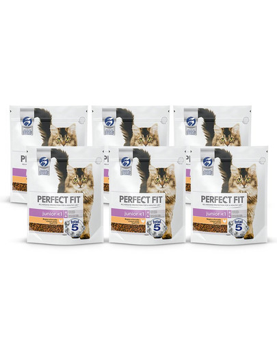 PERFECT FIT Cat 6x750 g Junior Chicken