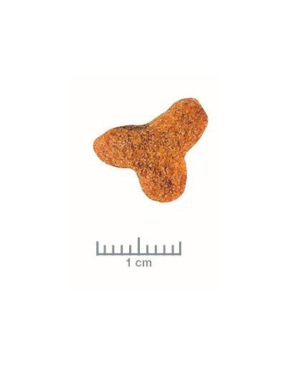 ROYAL CANIN Veterinary Diet Cat Fibre Response 2 kg