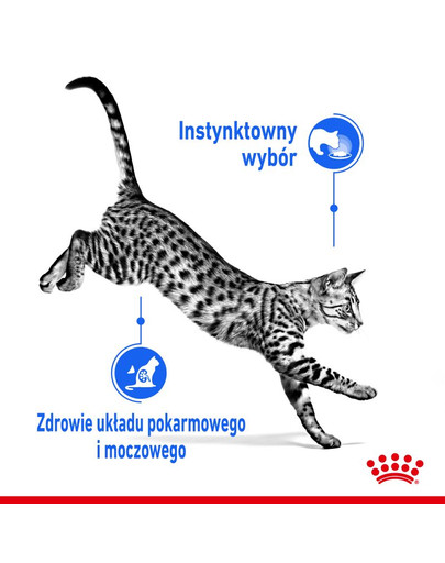 ROYAL CANIN Indoor Sterilised In Gravy Pouch 12x85g