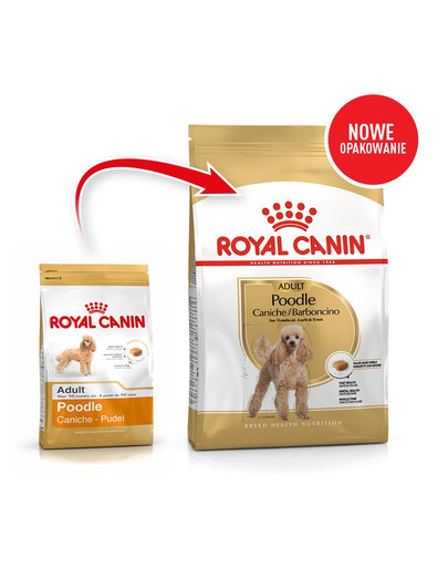ROYAL CANIN Poodle Adult 500g granule pre dospelého pudla
