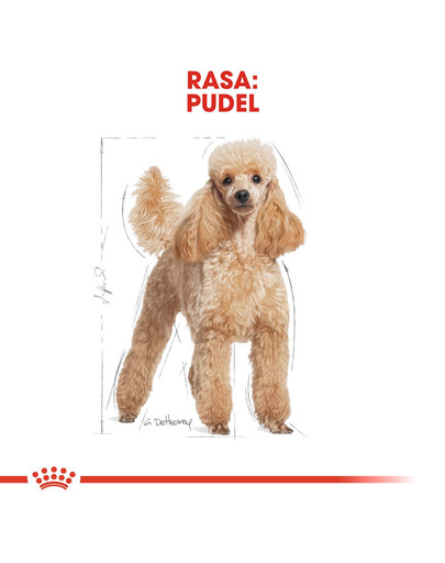 ROYAL CANIN Poodle Adult 3 kg granule pre dospelého pudla