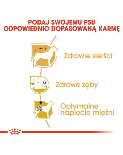 ROYAL CANIN Poodle Adult 3 kg granule pre dospelého pudla