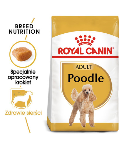 ROYAL CANIN Poodle Adult 3 kg granule pre dospelého pudla