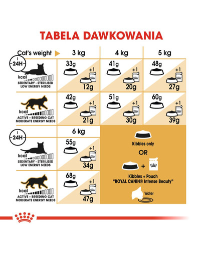ROYAL CANIN Siamese Adult 10 kg