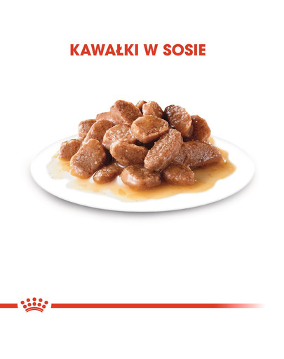 ROYAL CANIN Instinctive +7 85 gv omáčke