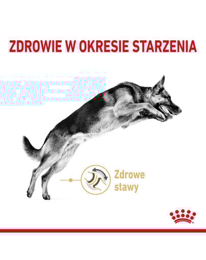 ROYAL CANIN German Shepherd Adult 5+ 12 kg