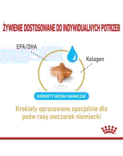 ROYAL CANIN German Shepherd Adult 5+ 12 kg