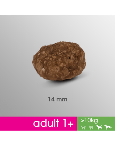 PERFECT FIT Perfect Fit 2,6 kg x 3 Kuracie pre stredné a veľké plemená