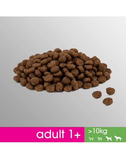 PERFECT FIT Perfect Fit 2,6 kg x 3 Kuracie pre stredné a veľké plemená