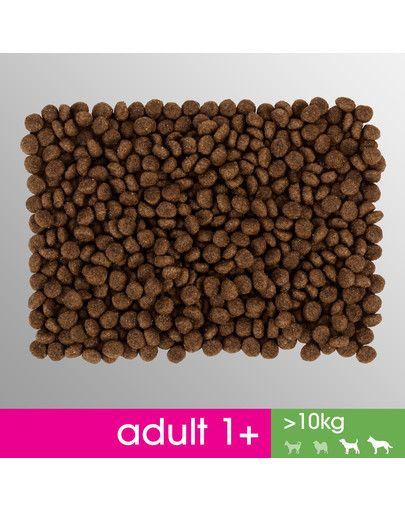PERFECT FIT Perfect Fit 2,6 kg x 3 Kuracie pre stredné a veľké plemená