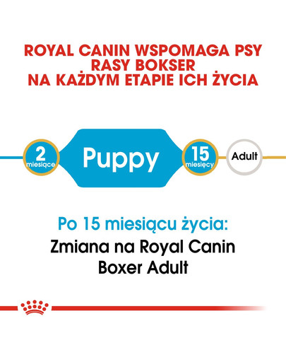 ROYAL CANIN Boxer junior 3 kg granule pre šteňa boxera