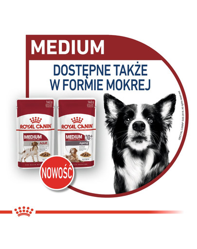 ROYAL CANIN Medium adult 10 kg