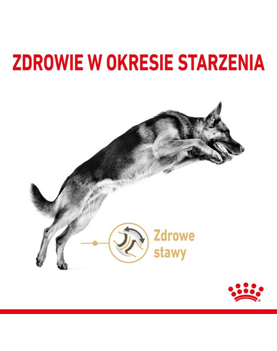 ROYAL CANIN German Shepherd Adult 5+ 3 kg