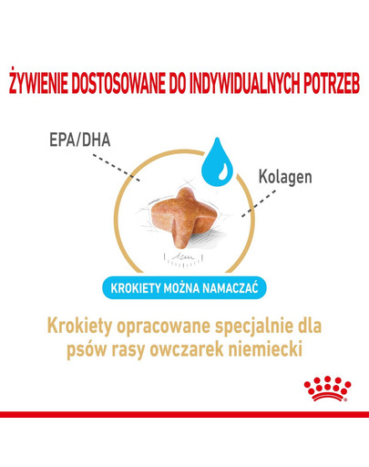 ROYAL CANIN German Shepherd Adult 5+ 3 kg