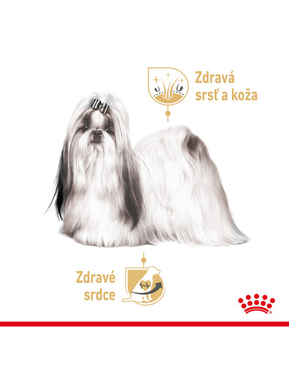 ROYAL CANIN Shih Tzu Adult Loaf 85 g karma mokra dla dorosłych psów rasy shih tzu