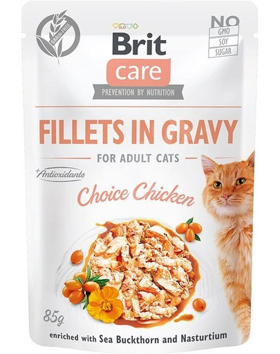 BRIT Care Cat Fillets in gravy Kura 85 g