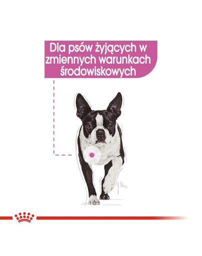 ROYAL CANIN Relax Care 12 x 85 g
