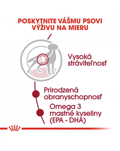 ROYAL CANIN Medium ageing 10+ 10x140g kapsička pre staré stredné psy