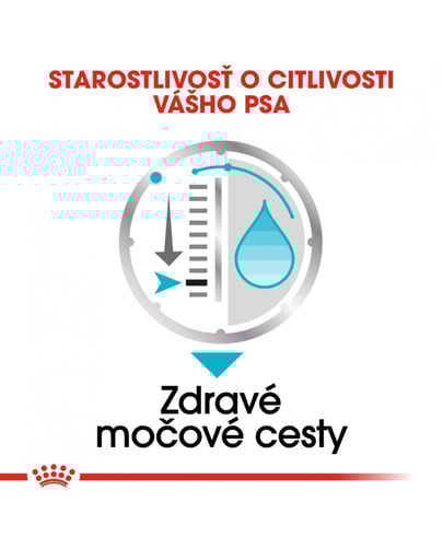 ROYAL CANIN Urinary Care Dog Loaf 85g x12 kapsička s paštétou pre psy s obličkovými problémami