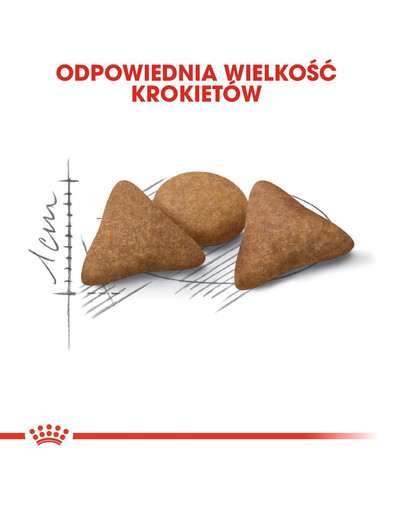 ROYAL CANIN Indoor Apetite Control 400 g