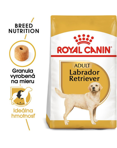 ROYAL CANIN Labrador retriever adult 2 x 12 kg granule pro dospělého labradora