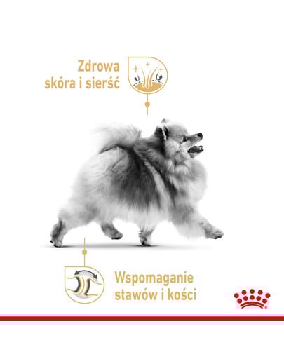 ROYAL CANIN Pomeranian Adult 3 kg