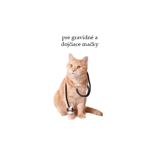 Veterinárne krmivo pre gravidné a dojčiace mačky