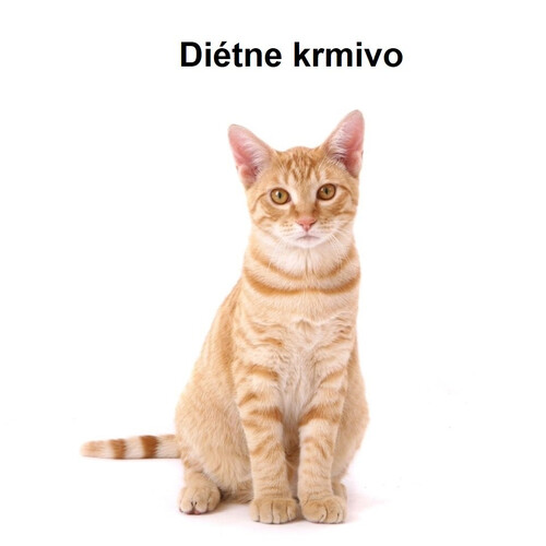 Diétne krmivo