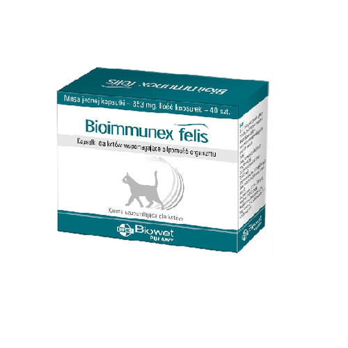 Vitamíny a doplnky pre mačky